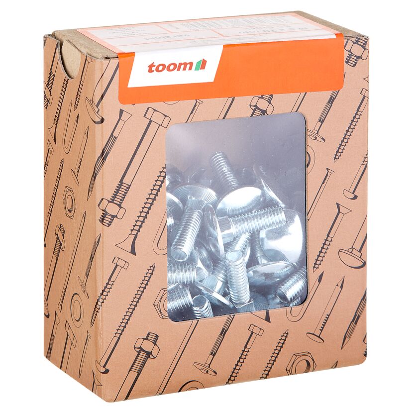 Schlossschrauben M6 x 20 mm 50 Stück