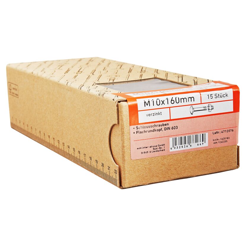 Schlossschrauben M10 x 160 mm 15 Stück