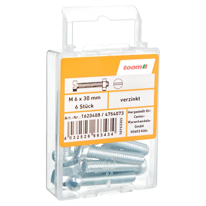 Zylinderschrauben Schlitz M6 x 3 cm 6 Stück
