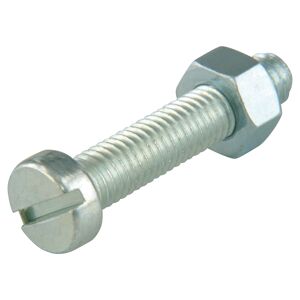 Zylinderschrauben Schlitz M6 x 4 cm 5 Stück