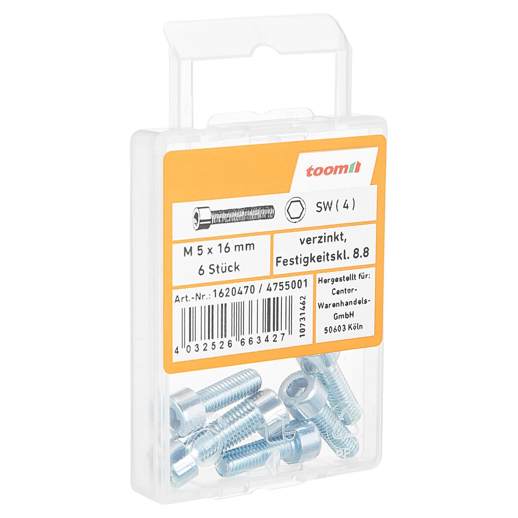 Zylinderschrauben M5 x 16 mm verzinkt, 6 Stück
