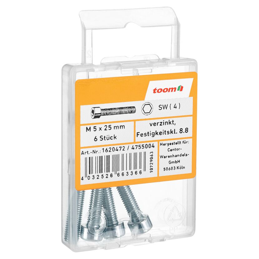 Zylinderschrauben M5 x 25 mm verzinkt, 6 Stück