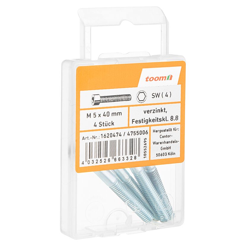 Zylinderschrauben M5 x 40 mm verzinkt, 4 Stück