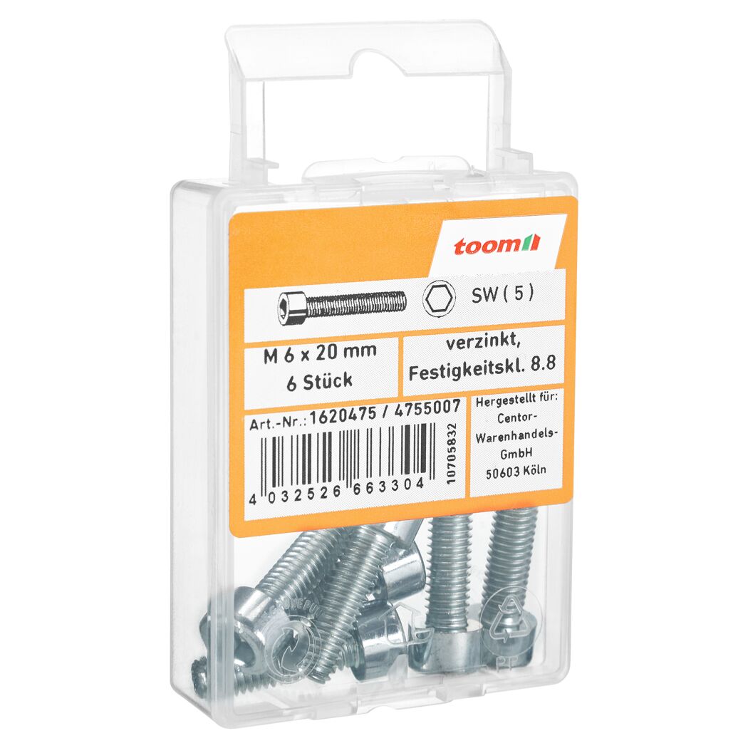 Zylinderschrauben M6 x 20 mm verzinkt, 6 Stück