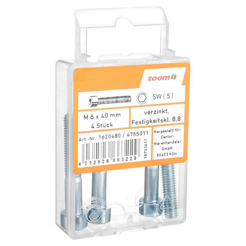 Zylinderschrauben M6 x 40 mm verzinkt, 4 Stück