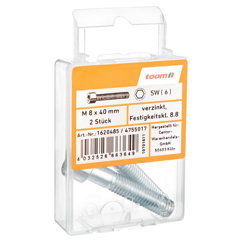 Zylinderschrauben M8 x 40 mm verzinkt, 2 Stück