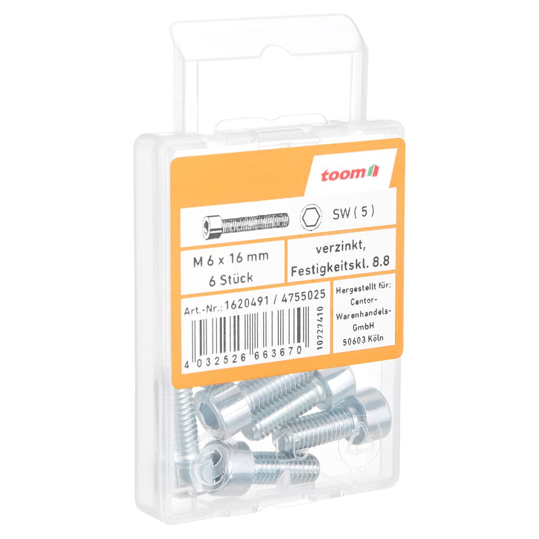 Zylinderschrauben M6 x 16 mm verzinkt, 6 Stück