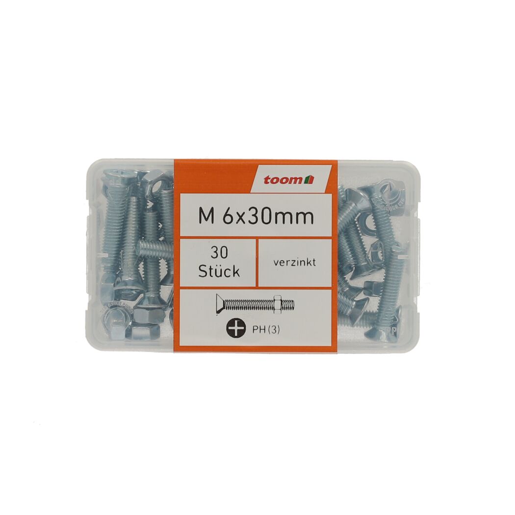 Senkkopfschrauben M6 x 30 mm verzinkt DIN 963 30 Stück