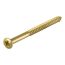 Goldene Schraube