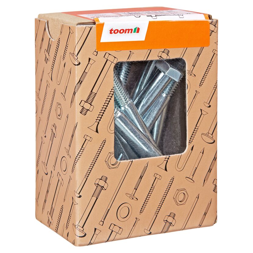 Sechskantschrauben M10 x 100 mm verzinkt DIN 601 10 Stück