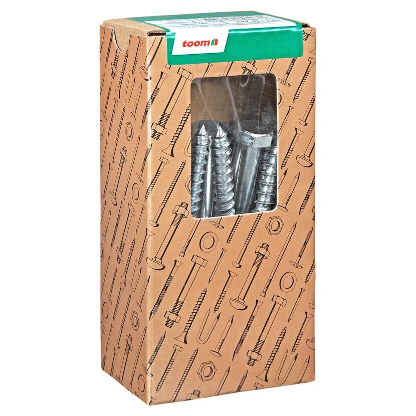 Schlüsselschrauben Ø 10 x 120 mm DIN 571 10 Stück