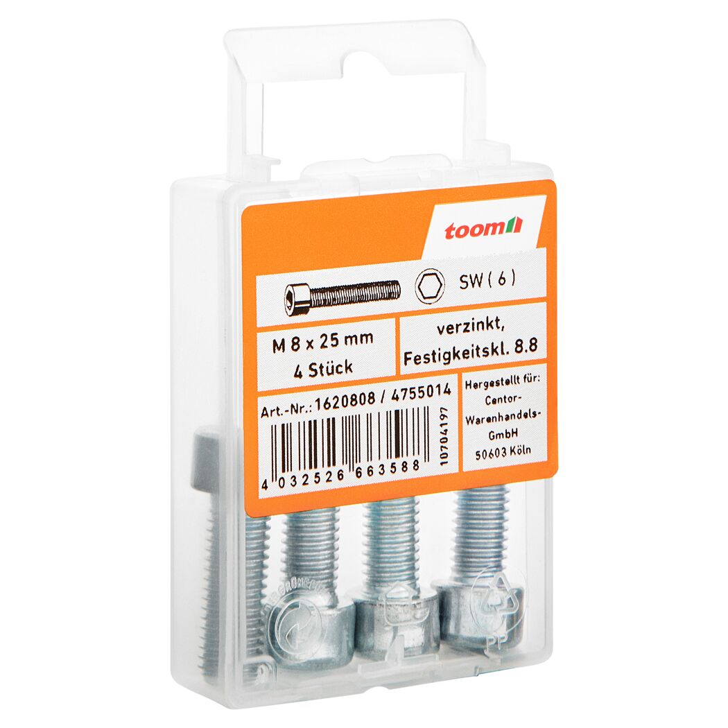 Zylinderschrauben M8 x 25 mm verzinkt, 4 Stück