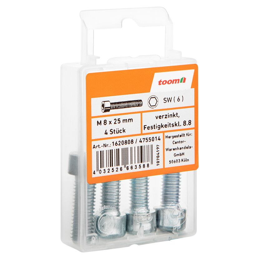 Zylinderschrauben M8 x 25 mm verzinkt, 4 Stück