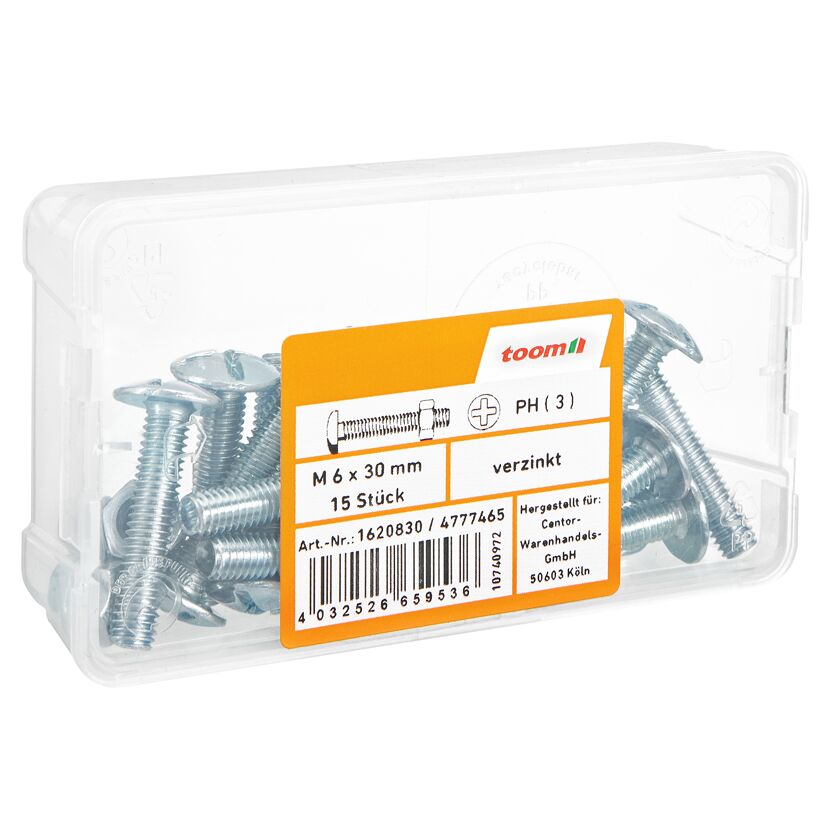 Flachrundschrauben M6 x 30 mm K-Schlitz 15 Stück