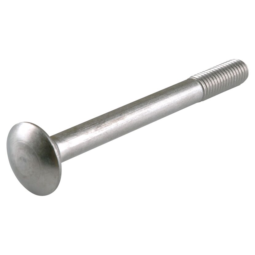 Schlossschrauben M6 x 30 mm A2 DIN 603