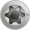 Holzschrauben T10 T-Star plus Edelstahl A2 3,0 x 20 mm 100 Stück