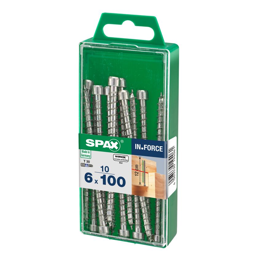 Zylinderkopfschrauben 'In.Force' Ø 6 x 100 mm 10 Stück