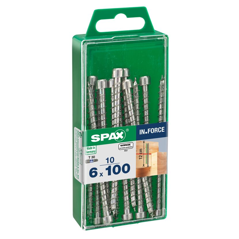 Zylinderkopfschrauben 'In.Force' Ø 6 x 100 mm 10 Stück
