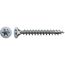 SPAX Schraube mit TX-Antrieb