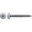 Schraube mit Torx Antrieb