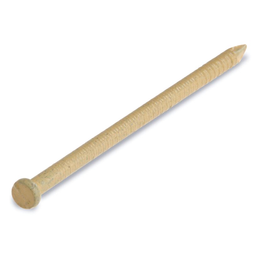 toom Paneelstifte beige Ø 0,17 x 4 cm