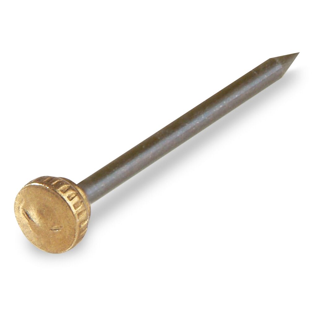 Stahlnägel mit Messingkopf Ø 0,12 x 2,2 cm