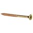 Goldene Schraube mit Torx-Antrieb.