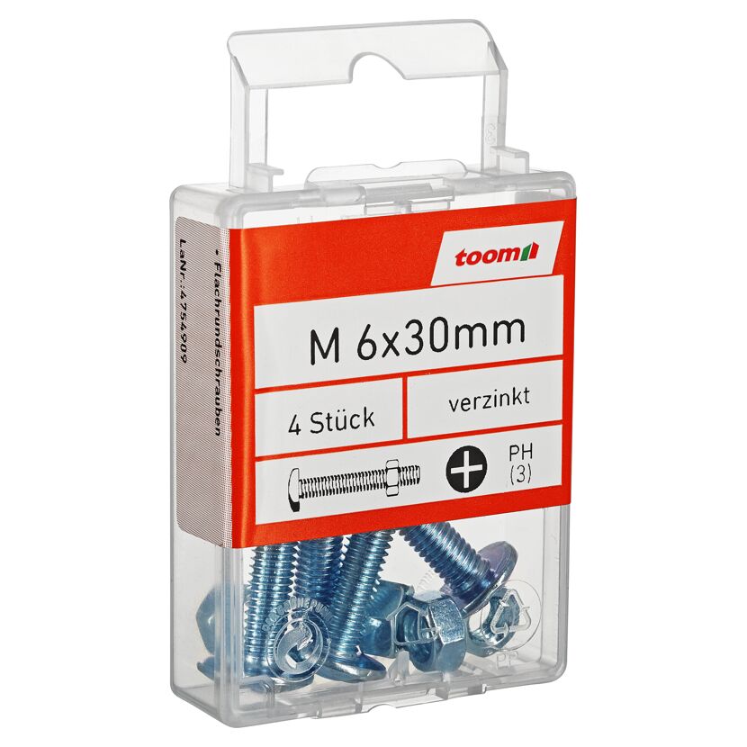 Flachrundschrauben SD Kreuzschlitz Stahl M6 x 30 mm 4 Stück