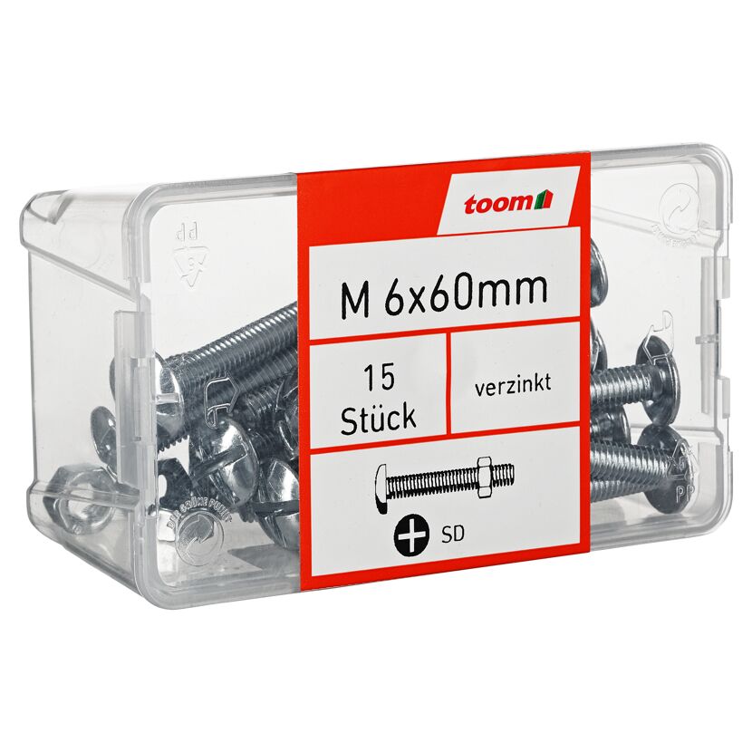 Flachrundschrauben SD Kreuzschlitz Stahl M6 x 60 mm 15 Stück