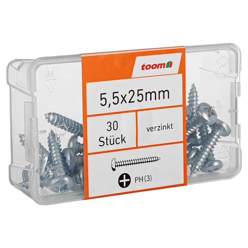 Blechschrauben PH3 Kreuzschlitz Stahl verzinkt 5,5 x 25 mm 30 Stück
