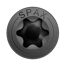Universalschraube 'BLAX' T-Star plus T20 Ø 4 x 30 mm 20 Stück