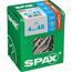 SPAX Schrauben 4,5 x 45 mm in Verpackung