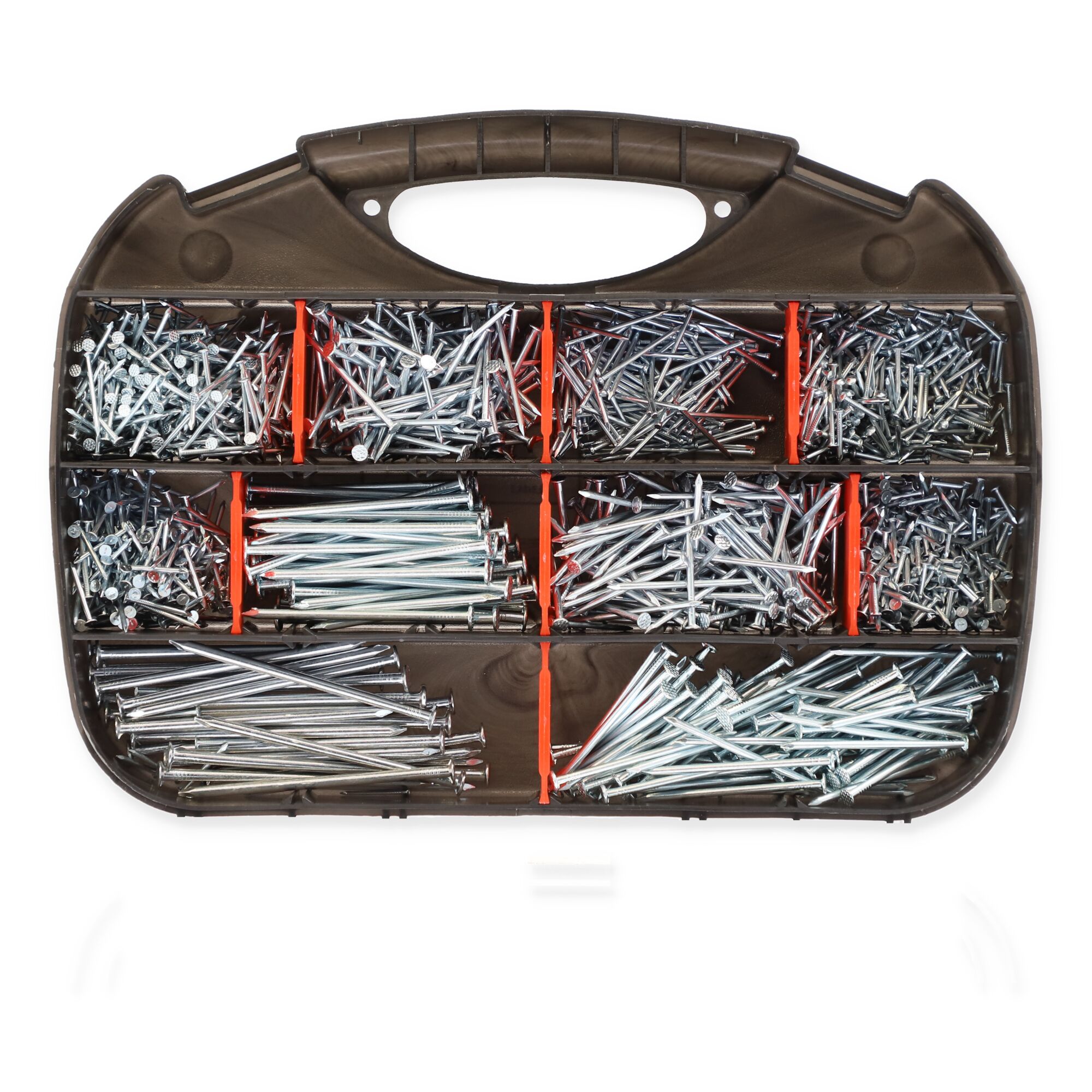 Sortimentskasten mit verschiedenen Nägeln