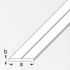 Combitech® Flachstange 1,55 x 250 cm