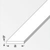 Flachprofil 200 x 2 x 0,2 cm