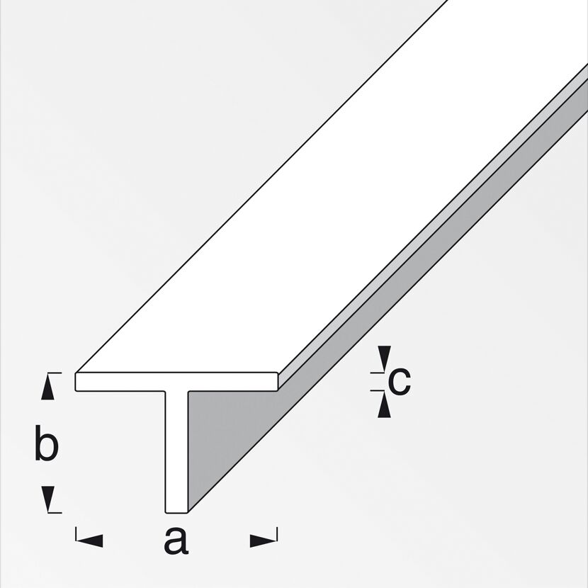 Alu-T-Profil 2 cm