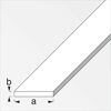 Walzblech flach 100 x 2 x 0,4 cm