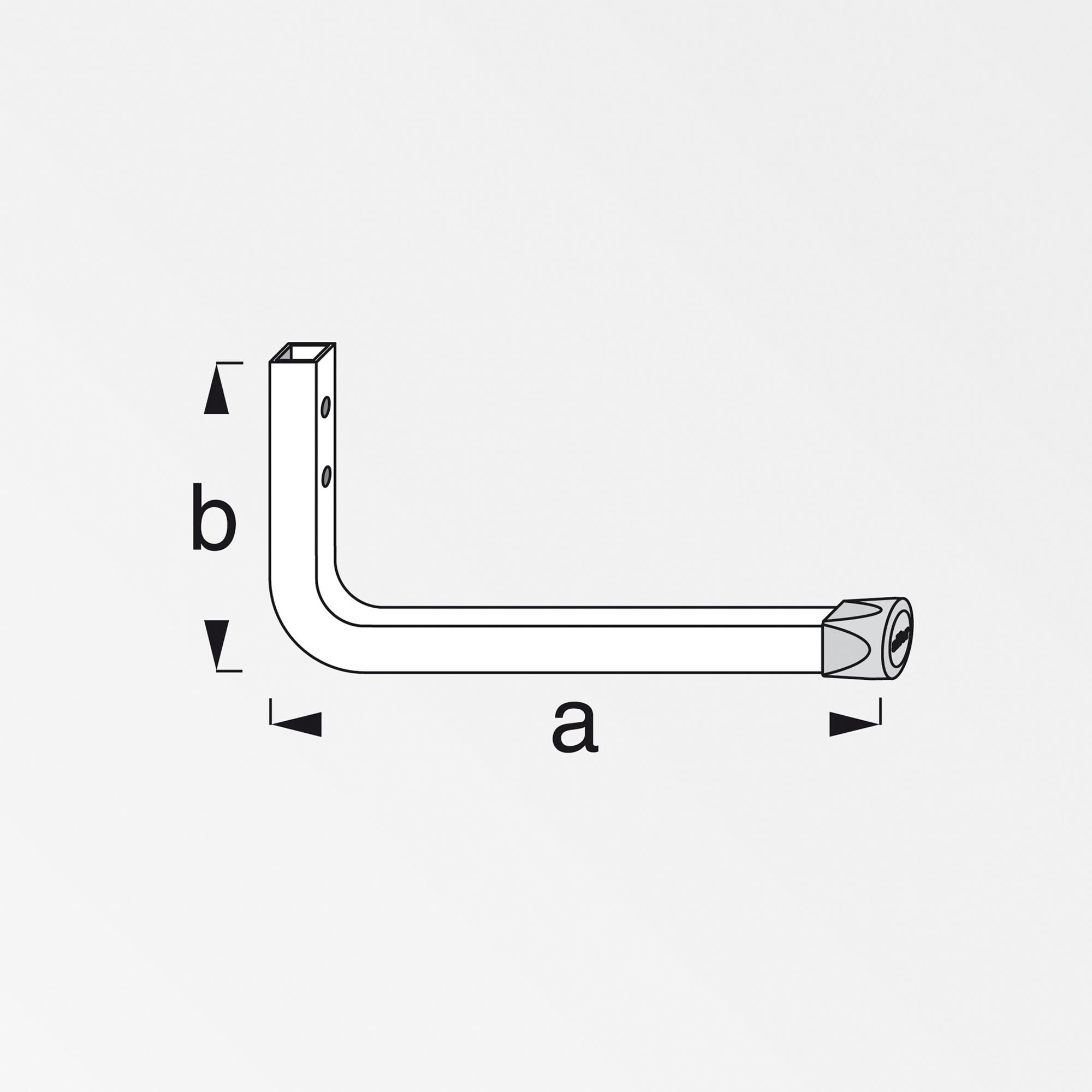 Coaxis® Wandhaken 35 cm + product picture