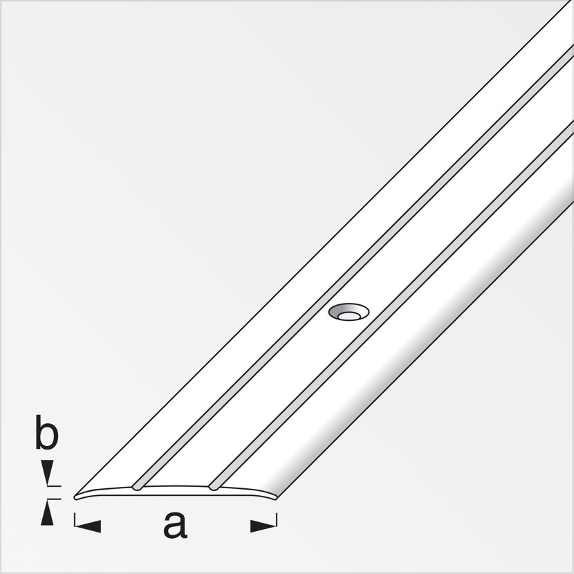 Silberne Übergangsleiste aus Aluminium
