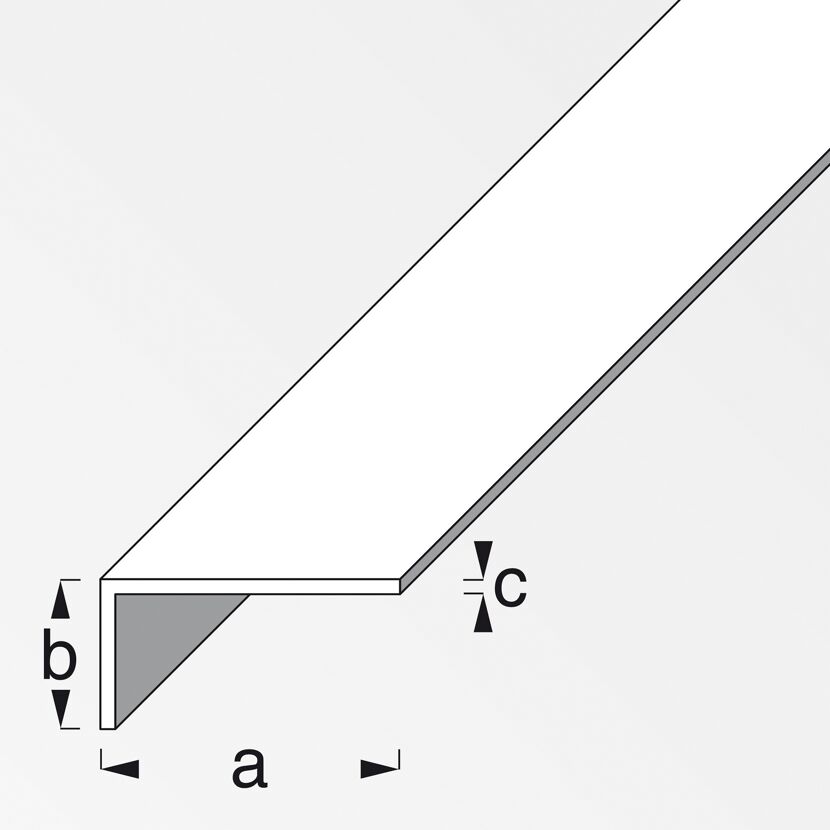 Winkel 200 x 2,5 x 2 cm