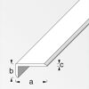 Silberner Kantenschutz aus Aluminium