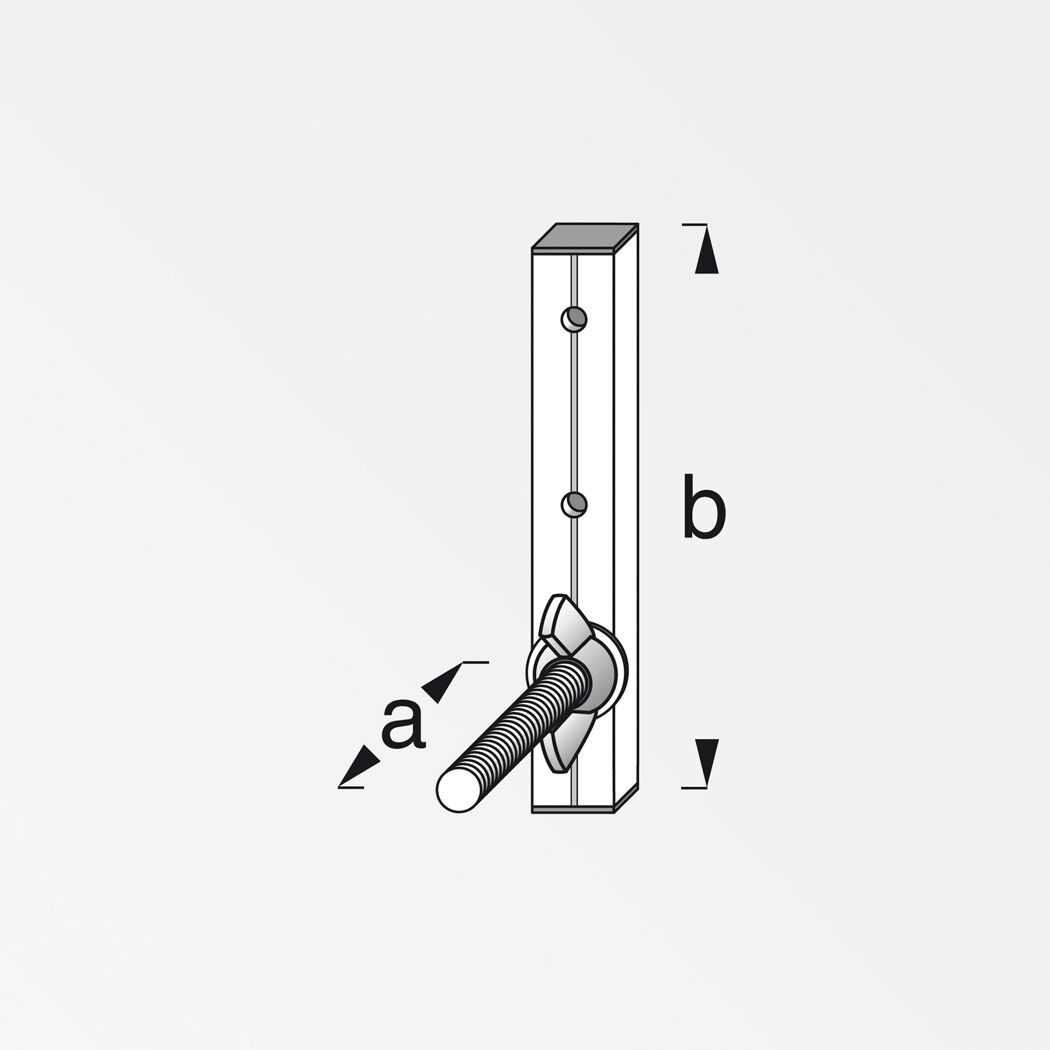 Felgenhalter mit Flügelmutter und Schraube