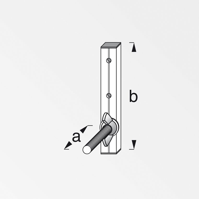 Felgenhalter mit Flügelmutter und Schraube
