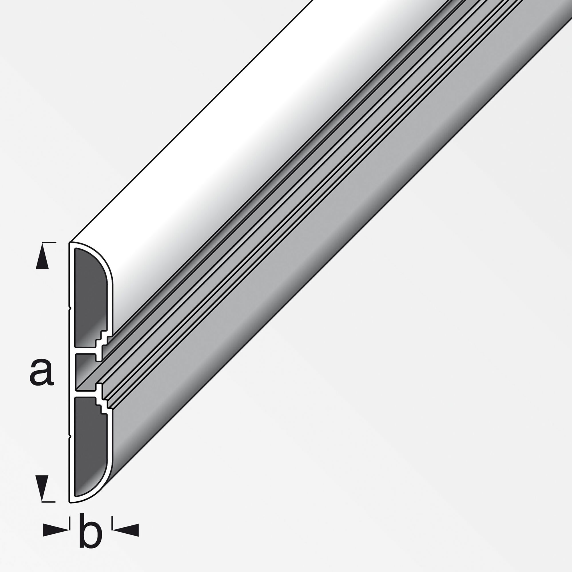 Aluminiumprofil Coaxis 100 x 60 x 10 mm