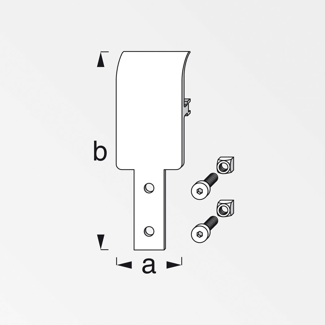 Abhängungsplatte Coaxis® blank Aluminium 105 x 35,5 mm