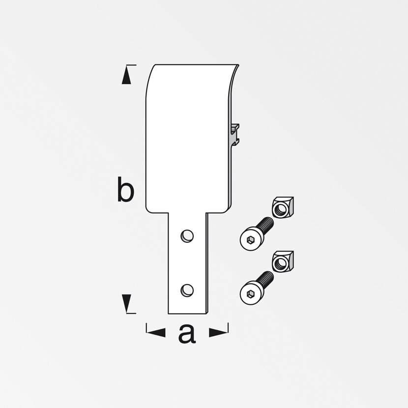 Abhängungsplatte Coaxis® blank Aluminium 105 x 35,5 mm