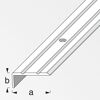 Abschlussprofil 25 x 10 mm x 1 m