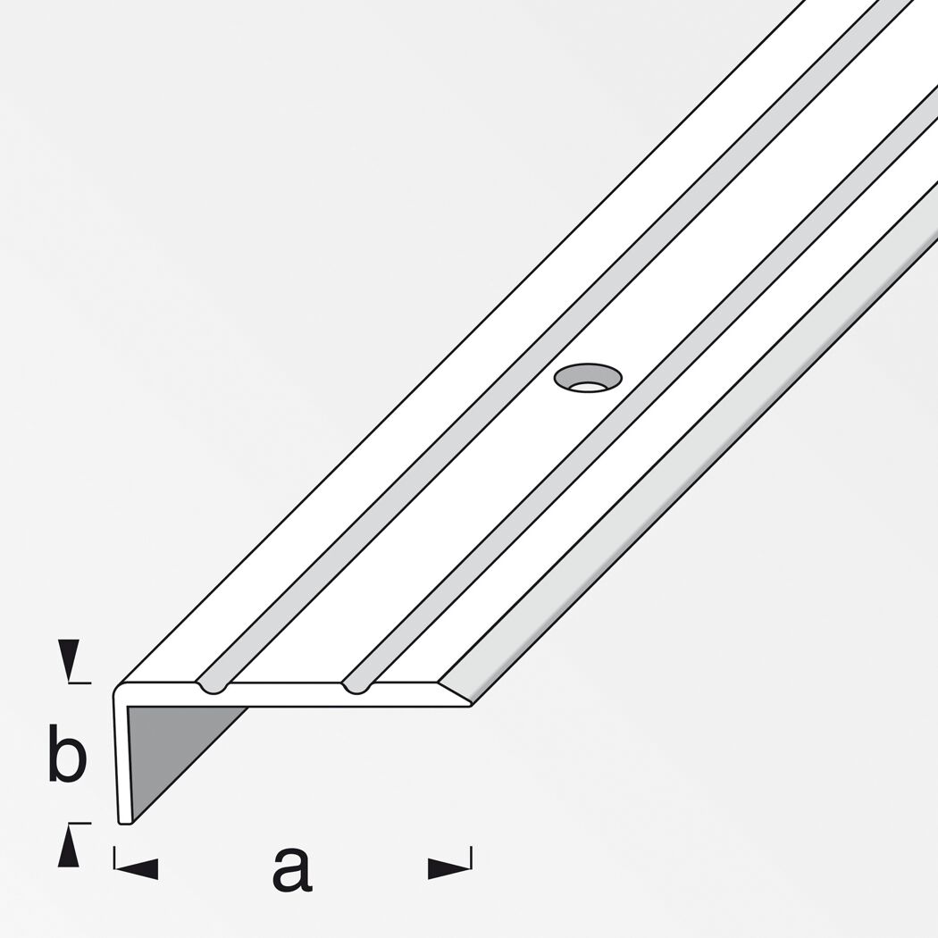 Abschlussprofil 25 x 10 mm x 1 m