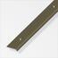 Abschlussprofil Aluminium bronzefarben 1000 x 25 mm
