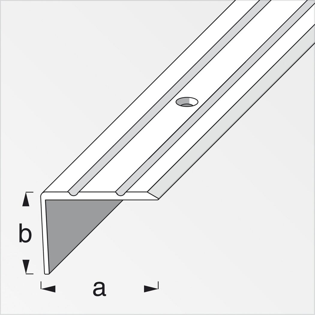 Treppenprofil Aluminium silber 1000 x 25 x 20 mm